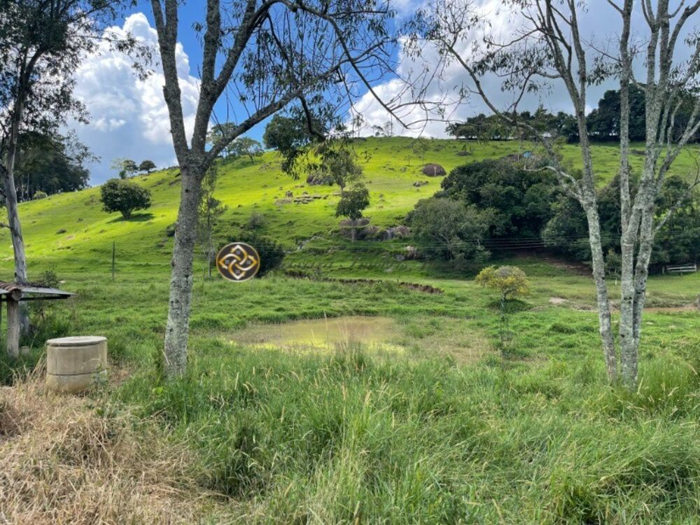 Terreno, 9000 m² - Foto 3