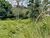 Terreno, 9000 m² - Foto 4