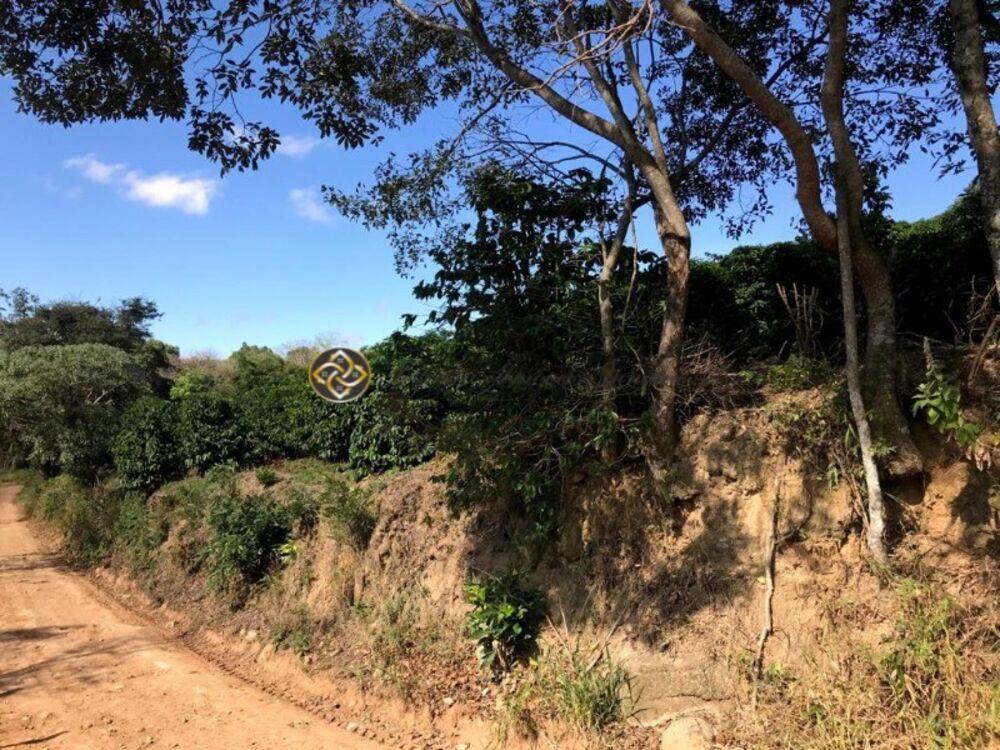 Sítio, 3 hectares - Foto 3