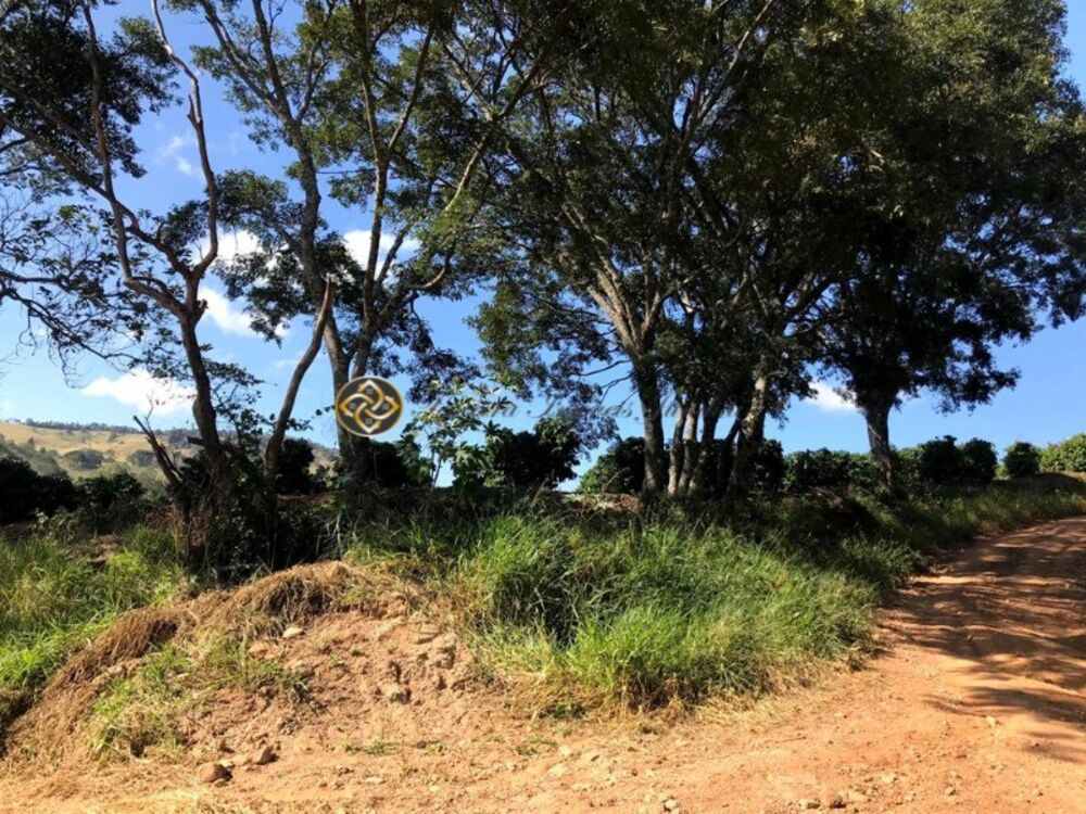 Sítio, 3 hectares - Foto 2