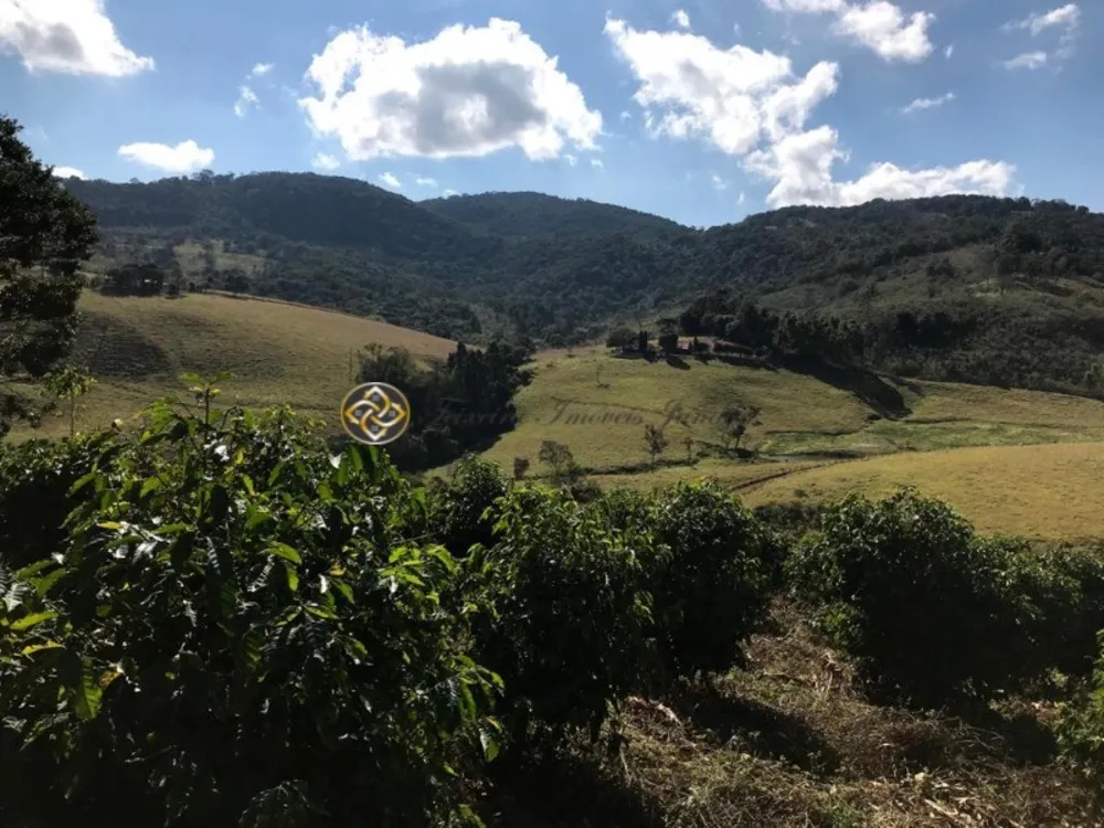 Sítio, 3 hectares - Foto 4