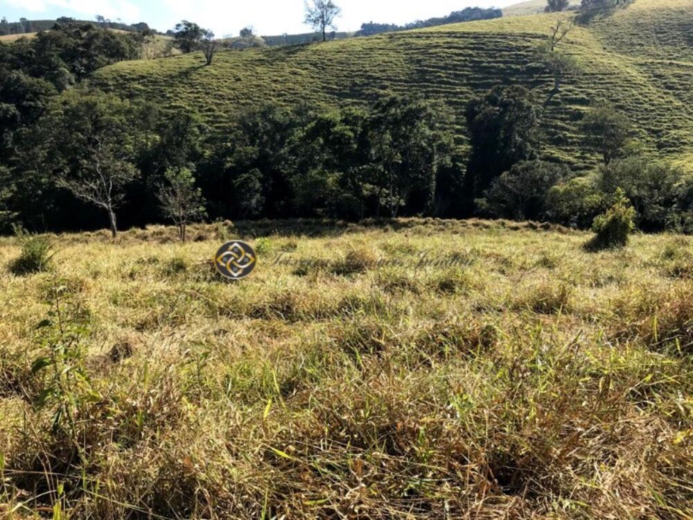 Sítio, 3 hectares - Foto 4