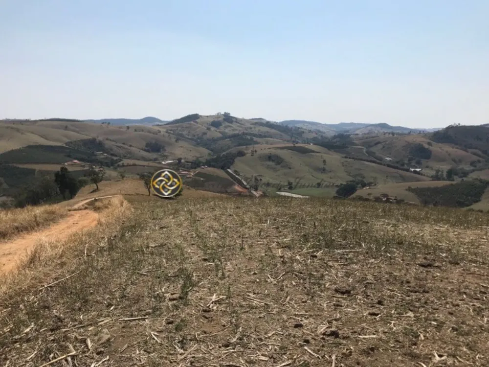 Sítio, 23 hectares - Foto 14