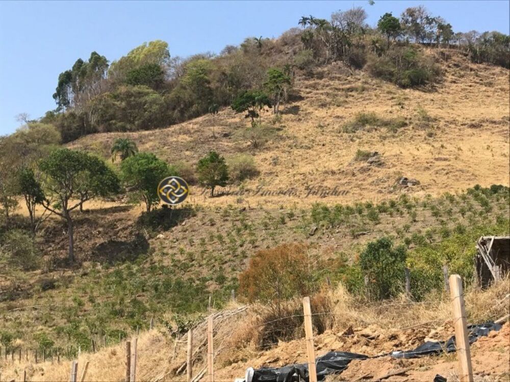 Sítio à venda, 229900m² - Foto 1