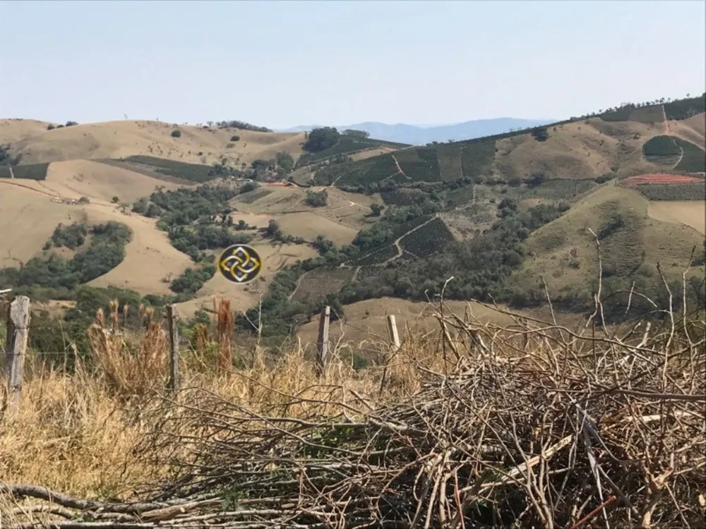 Sítio, 23 hectares - Foto 4