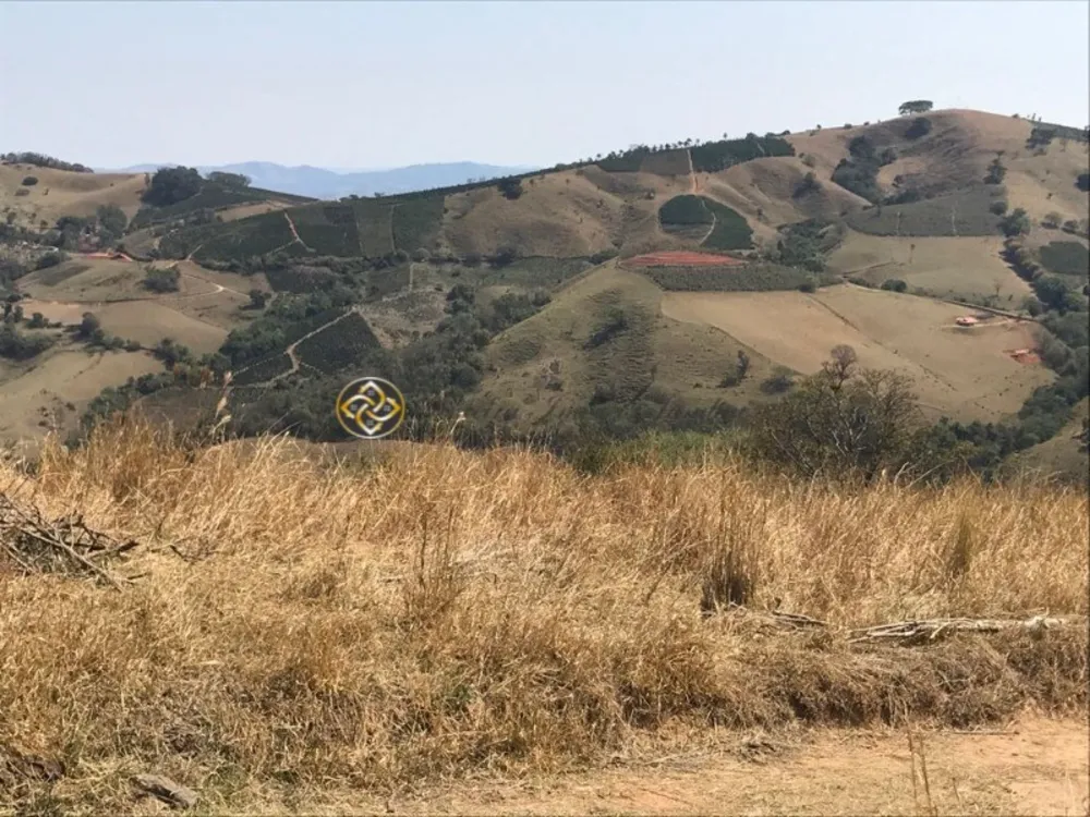 Sítio, 23 hectares - Foto 11