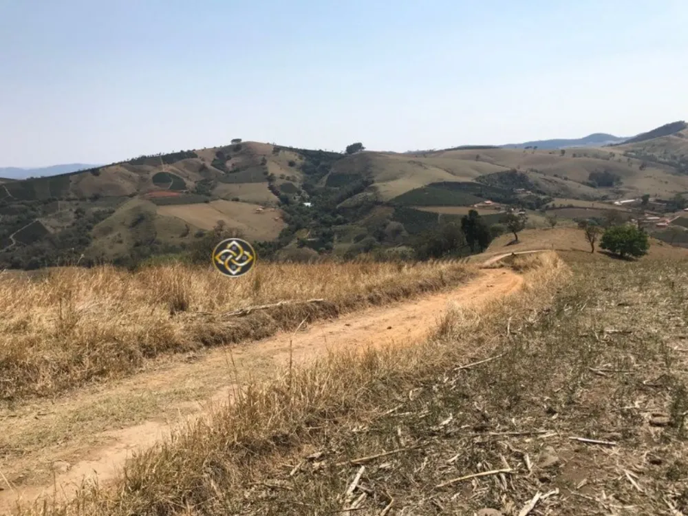 Sítio, 23 hectares - Foto 12