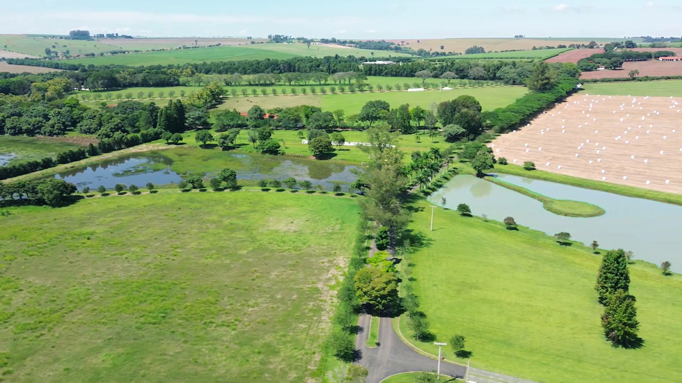 Haras e Área Rural Padrão à venda, 302m² - Foto 11