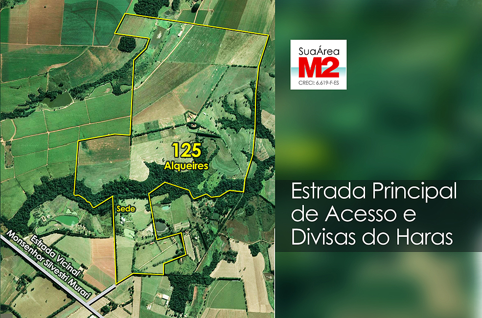 Haras e Área Rural Padrão à venda, 302m² - Foto 6