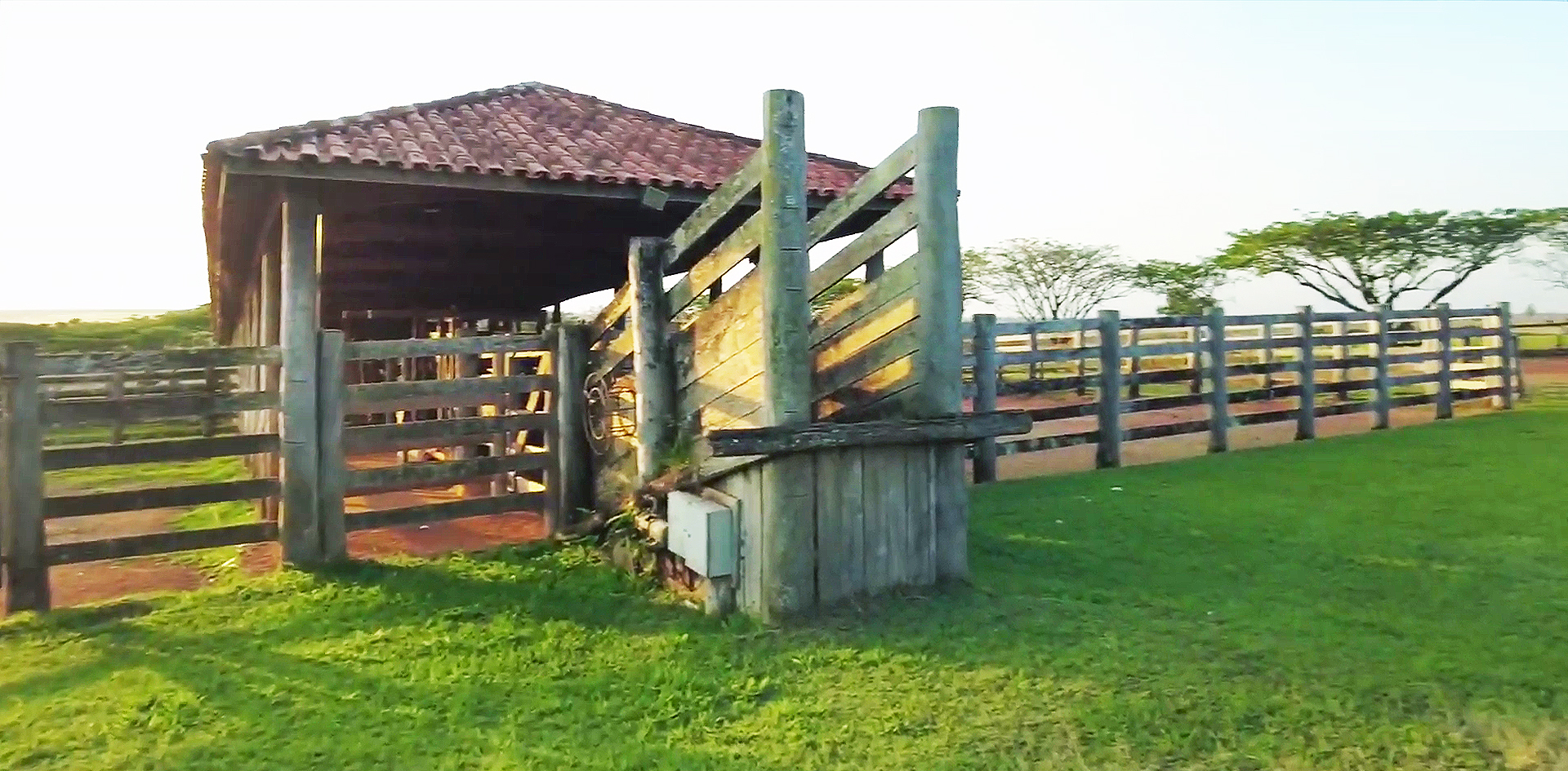 Haras e Área Rural Padrão à venda, 302m² - Foto 18