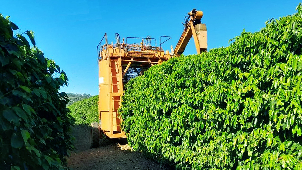 Fazenda à venda, 1000m² - Foto 26