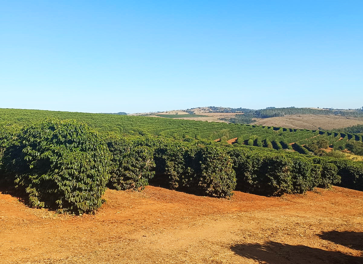 Fazenda à venda, 1000m² - Foto 18