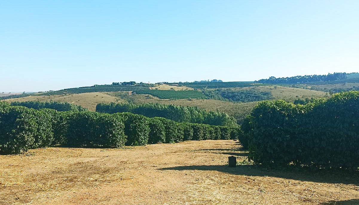 Fazenda à venda, 1000m² - Foto 19