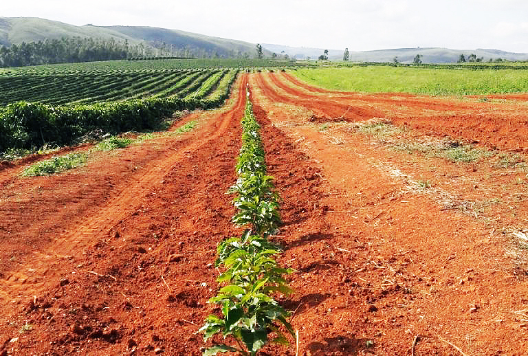 Fazenda à venda, 1000m² - Foto 22