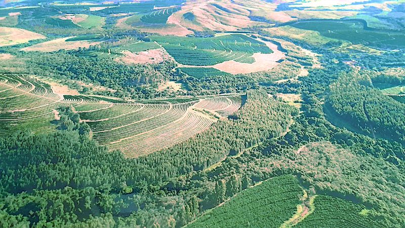 Fazenda à venda, 1000m² - Foto 21