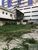 Terreno, 330 m² - Foto 2