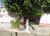 Terreno, 544 m² - Foto 2