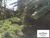 Terreno, 720 m² - Foto 1