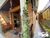 Casa, 2 quartos, 300 m² - Foto 3