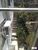 Casa, 5 quartos, 270 m² - Foto 2