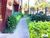 Apartamento, 3 quartos, 109 m² - Foto 20
