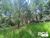 Sítio, 2 quartos, 2 hectares - Foto 3