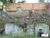 Terreno, 466 m² - Foto 3