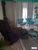 Casa, 3 quartos, 220 m² - Foto 3