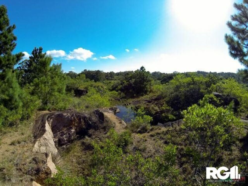 Terreno à venda, 9775m² - Foto 1