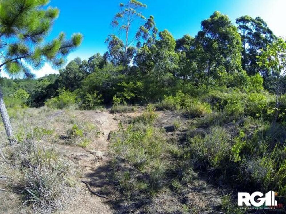 Terreno à venda, 9775m² - Foto 6