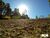 Terreno, 9775 m² - Foto 7