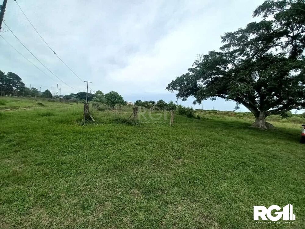 Terreno à venda, 5000m² - Foto 3