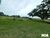 Terreno, 5000 m² - Foto 3