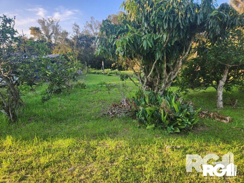 Casa à venda com 5 quartos, 1500m² - Foto 11