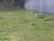 Terreno, 3300 m² - Foto 3