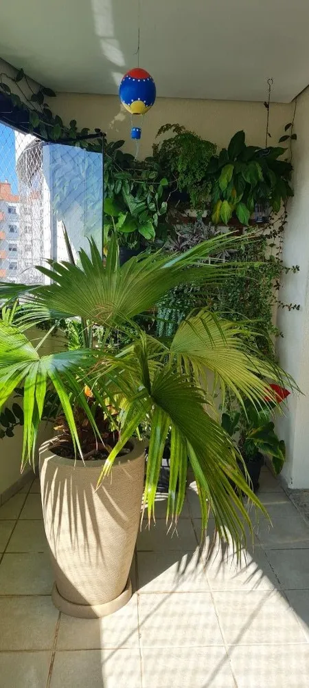Apartamento, 3 quartos, 142 m² - Foto 1