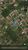 Terreno, 450 m² - Foto 5