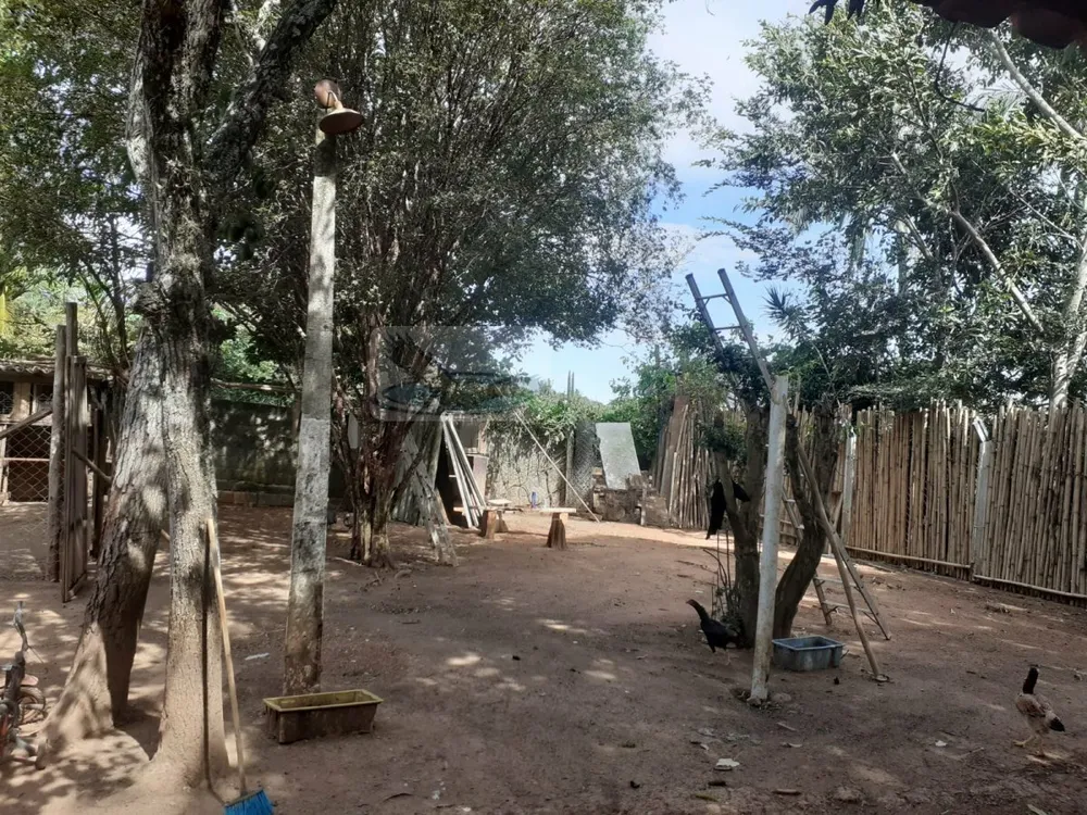 Chácara, 3 quartos, 1000 m² - Foto 3