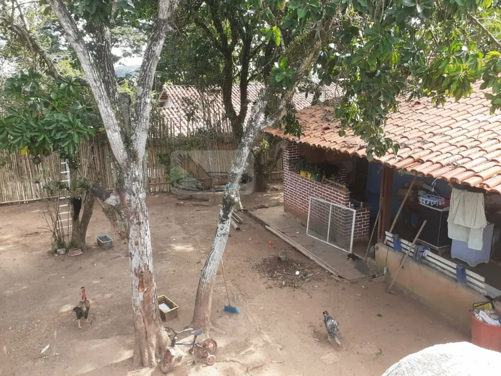 Chácara, 3 quartos, 1000 m² - Foto 4
