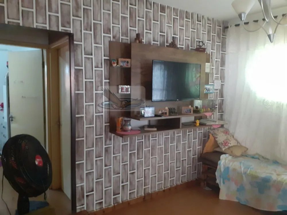 Chácara, 3 quartos, 1000 m² - Foto 5