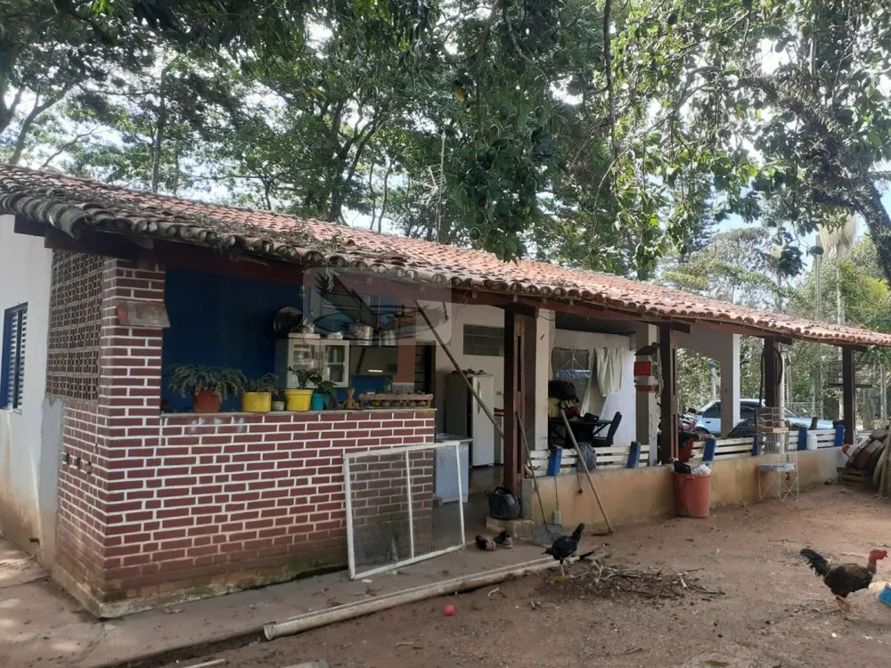 Chácara, 3 quartos, 1000 m² - Foto 1