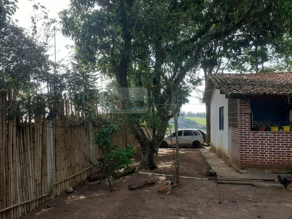 Chácara, 3 quartos, 1000 m² - Foto 7