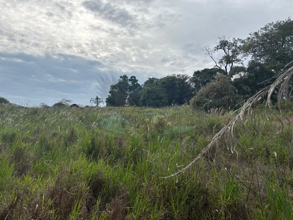 Loteamento e Condomínio, 2 hectares - Foto 4