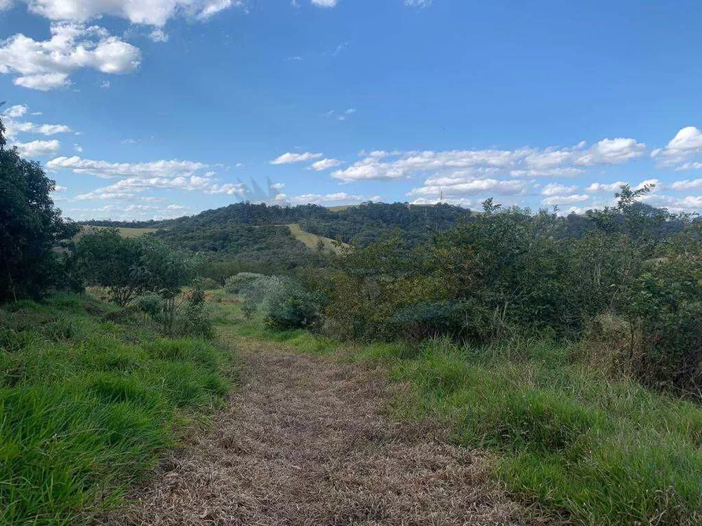 Sítio, 2 quartos, 2 hectares - Foto 4