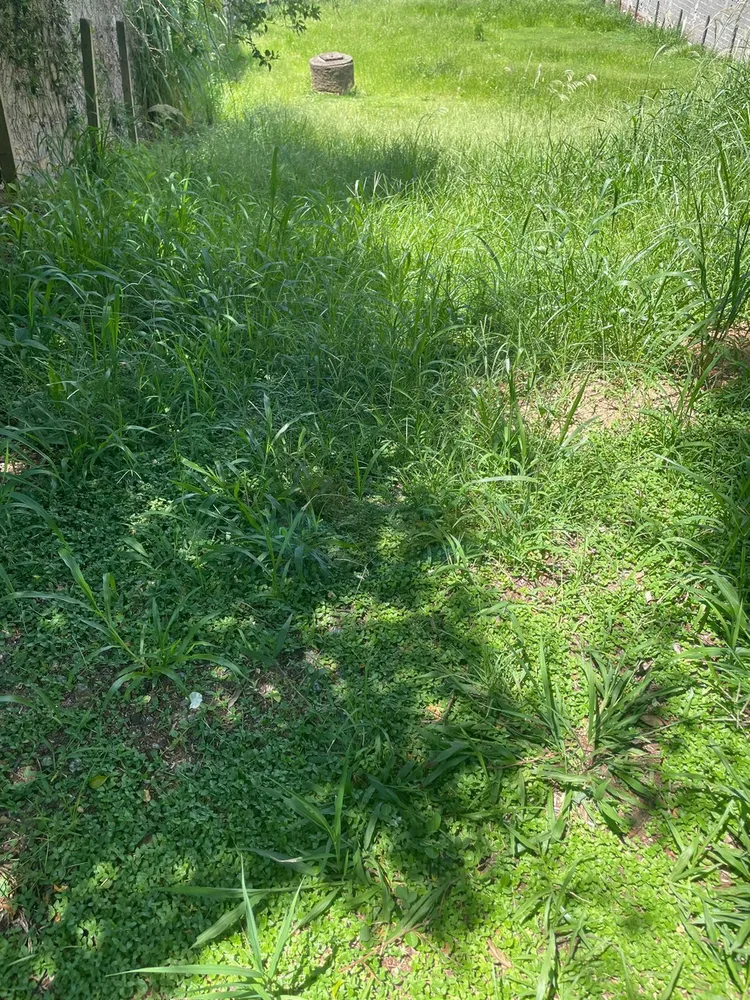 Terreno, 1000 m² - Foto 2