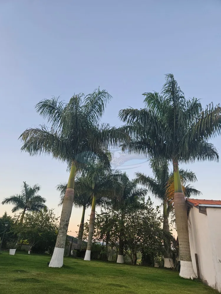 Fazenda, 4 m² - Foto 13