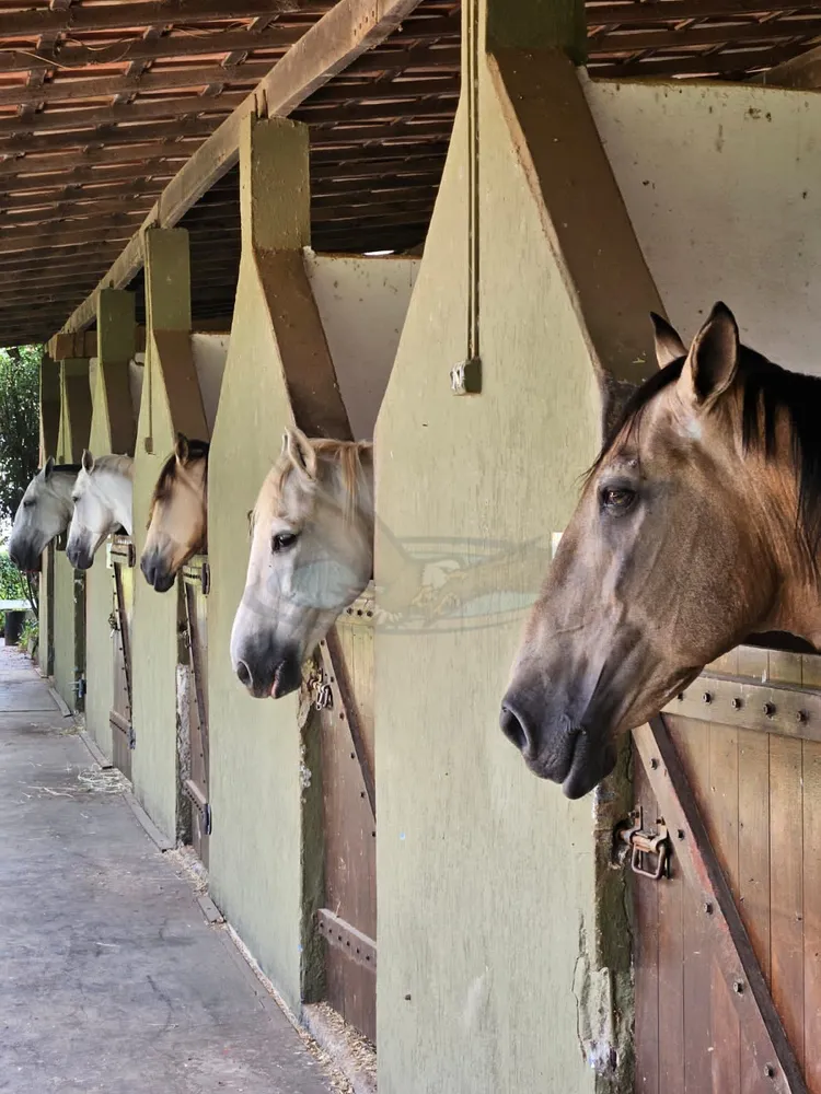 Fazenda, 4 m² - Foto 1