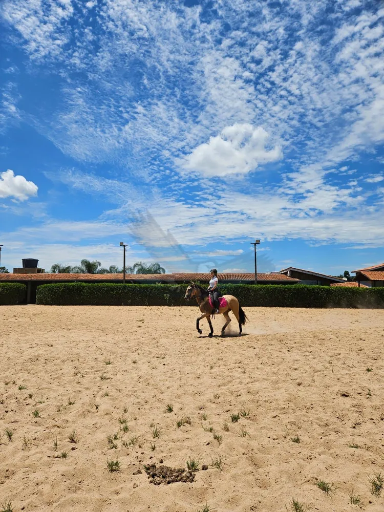 Fazenda, 4 m² - Foto 3