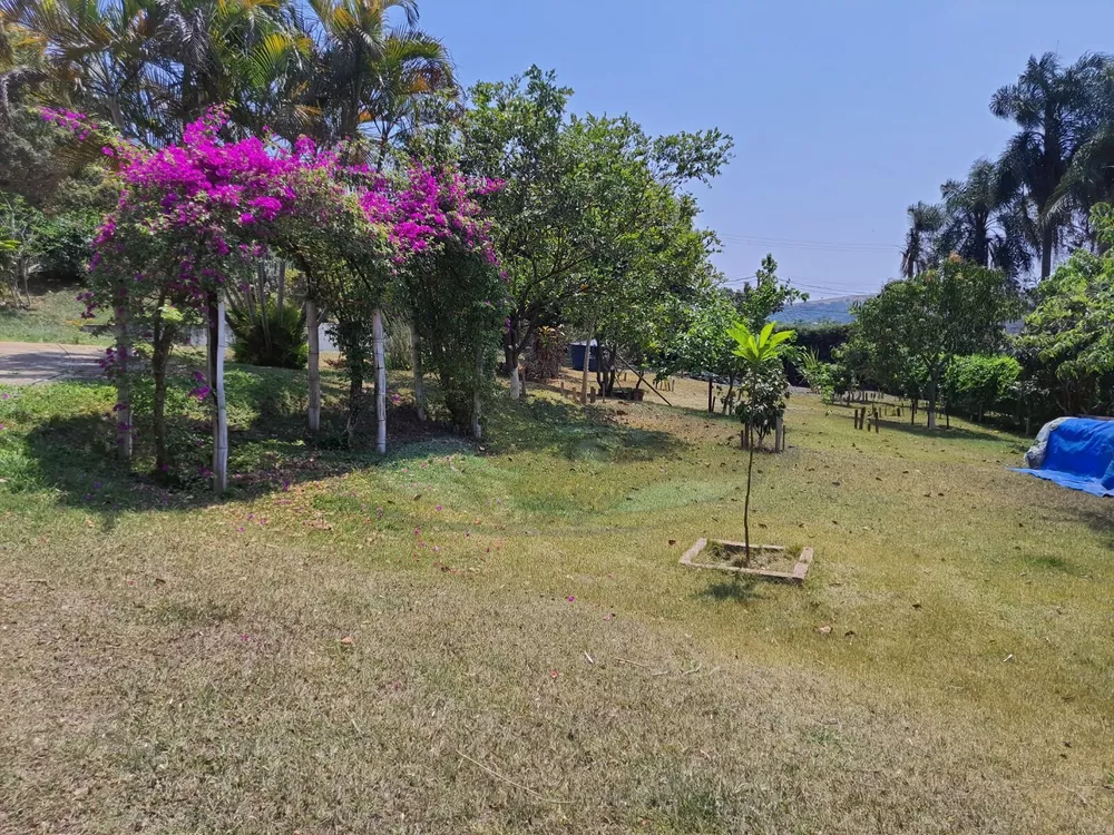 Chácara, 3 quartos, 3157 m² - Foto 6