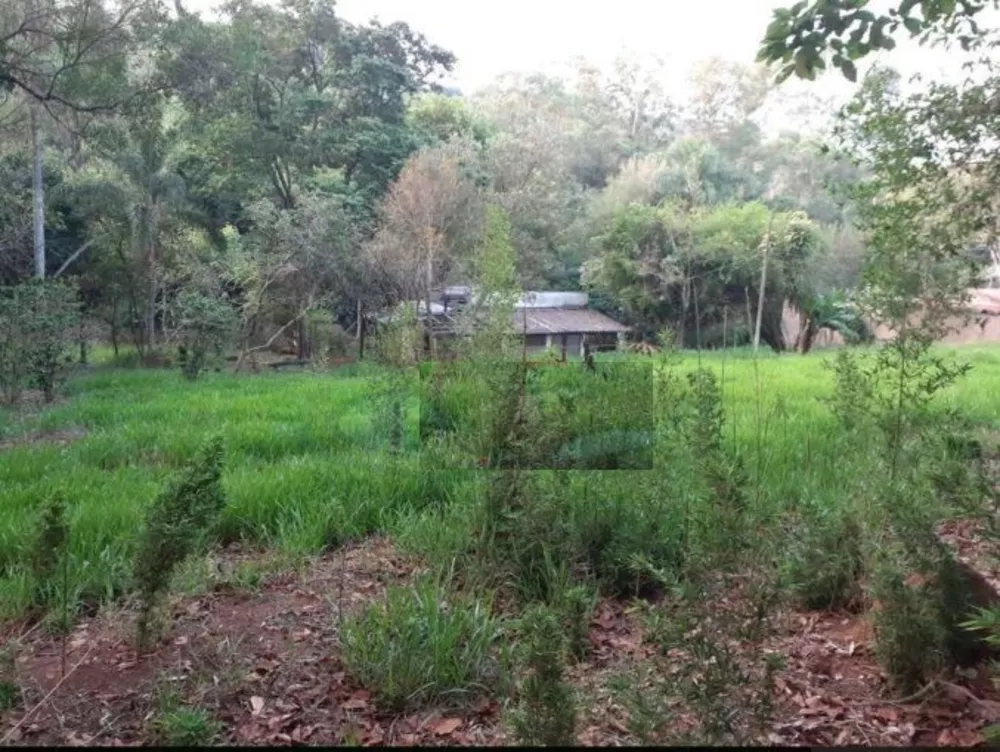 Terreno, 4377 m² - Foto 2